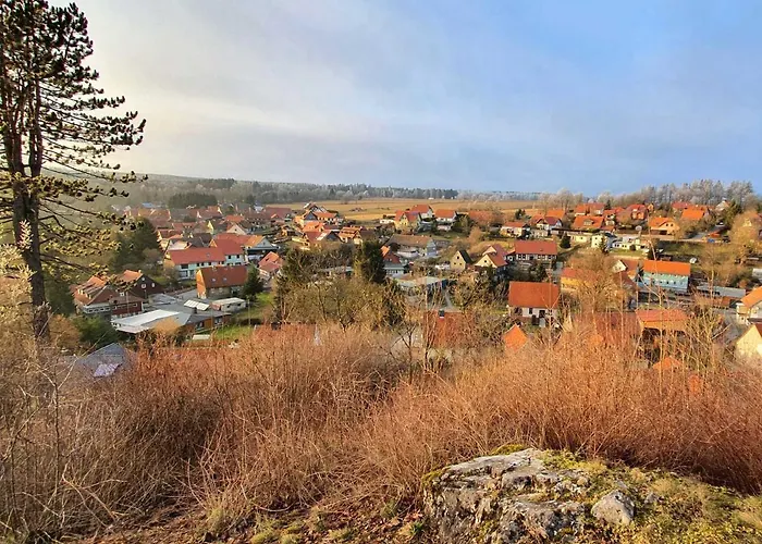 アパート Riemenschneider